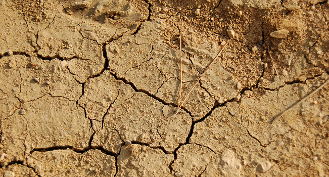 Sécheresse