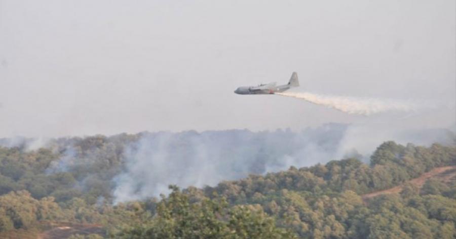 Des camions pompiers libyens en route vers la Tunisie