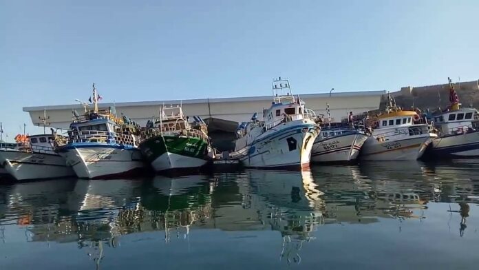 Les activités du port de Kélibia lourdement impactées par l’arrêt des travaux d’aménagement en cours
