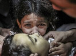 À Gaza, un système de santé maternelle et néonatale « décimé »