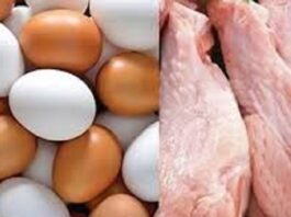 Poulet de chair vif: Hausse du prix à la production