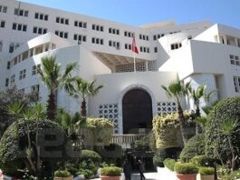 Mohamed Ali Nafti au Caire pour le Forum de partenariat Russie-Afrique