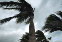 Un hiver 2026 marqué par des vents violents, preuve du changement climatique