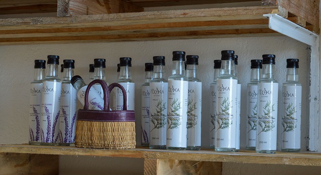 la-fleur-doranger-bigaradier-de-nabeul-une-portee-economique-une-experience-touristique03 (2)