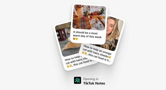 tiktok notes