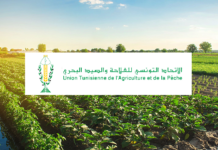 L’UTAP appelle à renforcer le soutien aux agriculteurs et à protéger les filières nationales