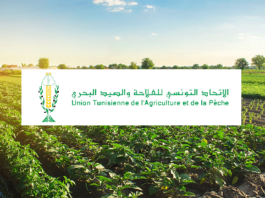 L’UTAP appelle à renforcer le soutien aux agriculteurs et à protéger les filières nationales