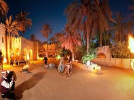 La 45ème édition du Festival International des Oasis de Tozeur du 27 au 30 décembre 2024