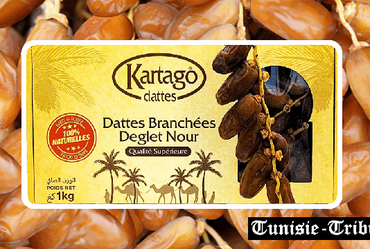 L’Export chiffré des dattes tunisiennes (Campagne 2024-2025)… Voire un Ralentissement Nuancé révèle les Défis du Marché Mondial