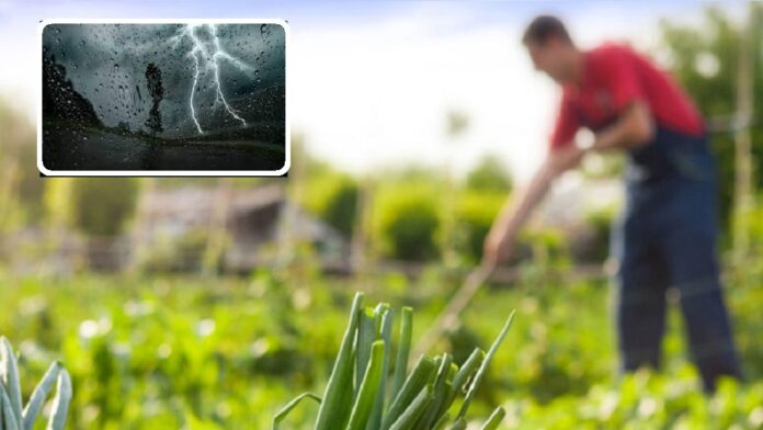 Les agriculteurs doivent prendre les précautions nécessaires en prévision des pluies attendues