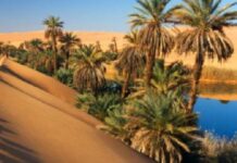 Tozeur: Hausse attendue des réservations hôtelières