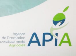 APIA: Priorité au versement des primes pour l’acquisition de machines de récolte des olives