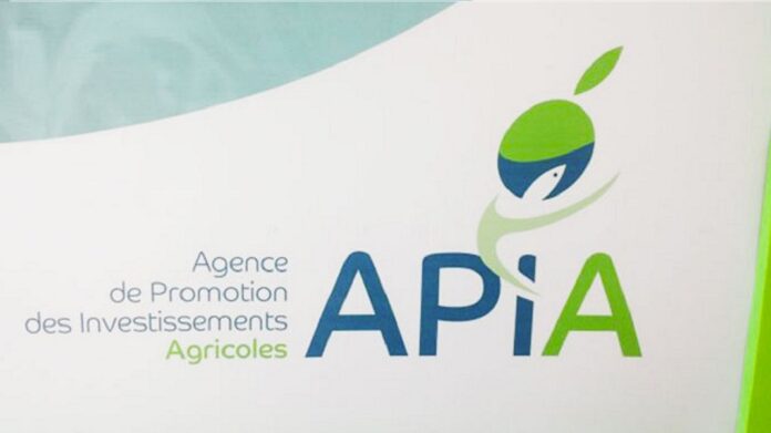 APIA: Priorité au versement des primes pour l’acquisition de machines de récolte des olives