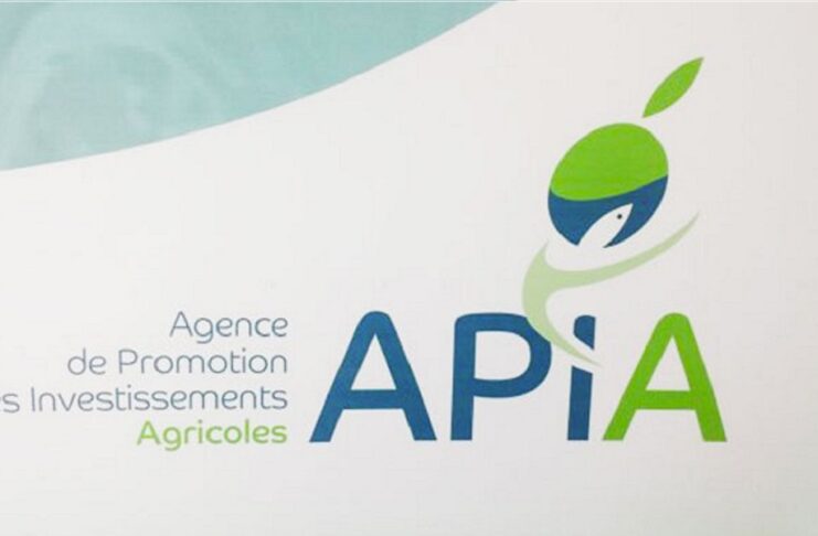 APIA : Le Comité d’octroi des avantages approuve trois opérations d’investissement à Manouba, Béja et Gabès