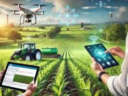 Agri-fintech et intelligence artificielle : un nouvel axe de développement du crédit rural en Afrique