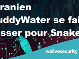 ESET: MuddyWater, aligné avec les intérêts de l’Iran, cible des infrastructures critiques en Israel et en Egypte