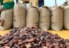 Record des exportations africaines du Café… Voire plus d’un million de tonnes sur 2024/2025