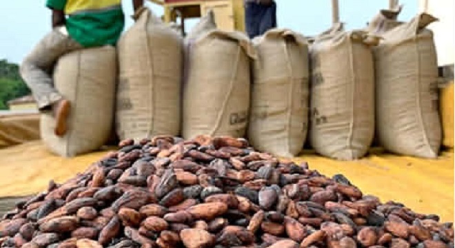 exportations africaines du Café