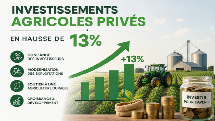 Les investissements agricoles privés en hausse de 13%
