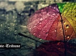 Prévisions météo du mardi 31 mars 2026