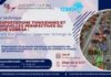 Atelier sur les opportunités du COMESA pour les exportateurs tunisiens, le 12 février 2026