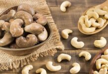 Côte d’Ivoire : les ventes d’amande de cajou attendues à 623 millions $ pour 2025