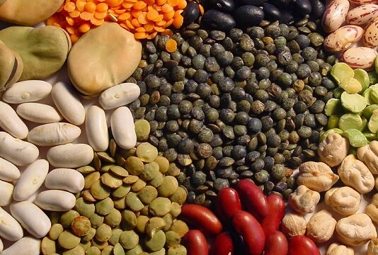 Avancement à 54% des opérations de semis des légumineuses à Ben Arous