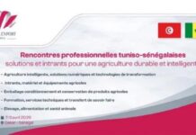 Les rencontres professionnelles tuniso-sénégalaises se tiendront du 7 au 11 avril 2026 à Dakar