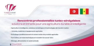 Les rencontres professionnelles tuniso-sénégalaises se tiendront du 7 au 11 avril 2026 à Dakar