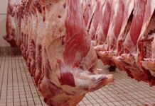 Kairouan: Saisie de 75 kg de foie congelé impropres à la consommation
