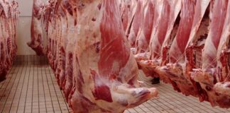 Kairouan: Saisie de 75 kg de foie congelé impropres à la consommation