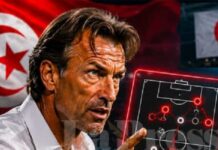Tunisie vs Japon (0-4) : Hervé Renard sort du silence et endosse le costume de coupable après le naufrage