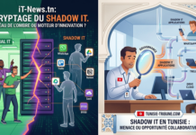 Le Shadow IT en Tunisie : Menace invisible ou moteur d’innovation malgré lui ?
