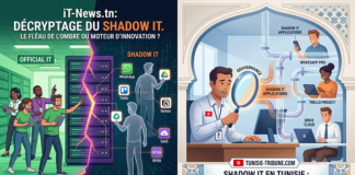 Le Shadow IT en Tunisie : Menace invisible ou moteur d’innovation malgré lui ?