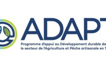 Investir aujourd’hui pour la transition agroécologique : ADAPT lance une série de journées d’information pour accompagner les candidats à son Fonds d’appui Invest.