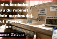 Alerte : Evitez de Boire l’Eau du Robinet en période de Canicule… Du Plomb est dissous dans l’Eau Chaude – (Détails & Recommandations) !