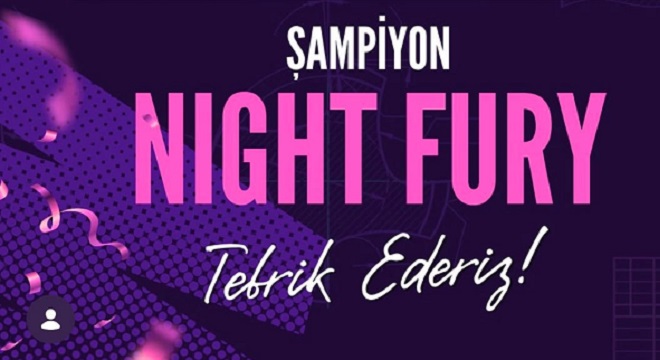 Night Fury