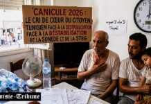 Canicule 2026 : Le cri de cœur du citoyen Tunisien face à la déstabilisation de la SONEDE et de la STEG