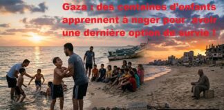 « La Palestine s’efface sous nos yeux »: Le cri d’alarme de 100 diplomates… La mer, ultime refuge pour les enfants de Gaza obligés d’apprendre à nager
