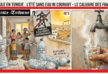 Canicule 2026 : Le cocktail toxique des coupures d’électricité, de la pénurie d’eau minérale et du plomb dilué dans l’eau du robinet