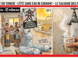 Canicule 2026 : Le cocktail toxique des coupures d’électricité, de la pénurie d’eau minérale et du plomb dilué dans l’eau du robinet