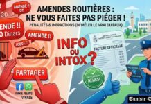 Pénalités & Infractions au Code de la route (Info ou Intox ?)… Ne vous faites pas piéger par ces Fake News