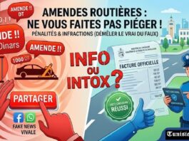 Pénalités & Infractions au Code de la route (Info ou Intox ?)… Ne vous faites pas piéger par ces Fake News