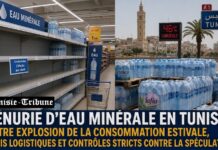 Pénurie d’eau minérale en Tunisie : Entre pic de canicule, défis logistiques et traque des spéculateurs