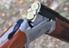 Chasse 2026-2027 : dates, quotas et conditions fixés