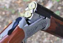 Chasse 2026-2027 : dates, quotas et conditions fixés