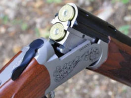 Chasse 2026-2027 : dates, quotas et conditions fixés