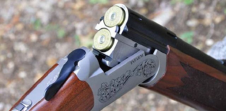 Chasse 2026-2027 : dates, quotas et conditions fixés