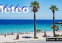 Prévisions Météo détaillées (avec indices UV) du Week-end (4, 5 & 6 Sept 2026)