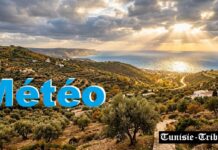 Prévisions Météo détaillées du dimanche 20 septembre 2026 et tendances pour la semaine à venir